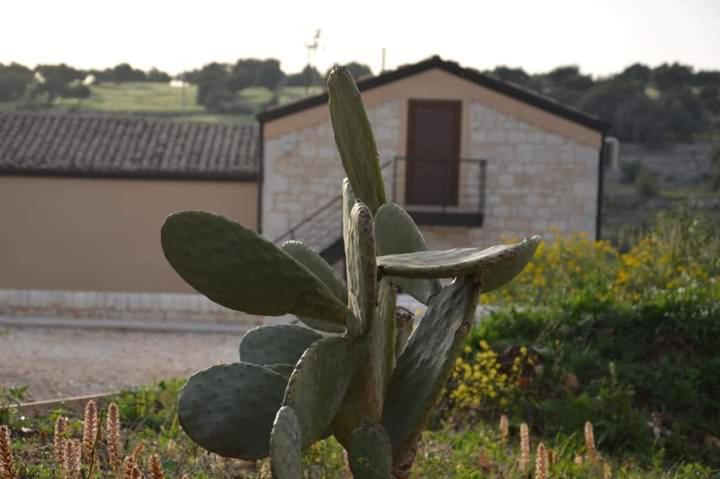 Il Carrubo Holiday House Scicli Esterno foto
